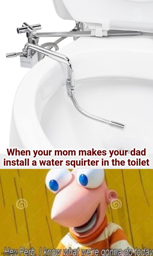 I know what we're gonna do today! | When your mom makes your dad install a water squirter in the toilet | image tagged in hey ferb,bidet attachment,toilet,i know what we're gonna do today,water | made w/ Imgflip meme maker