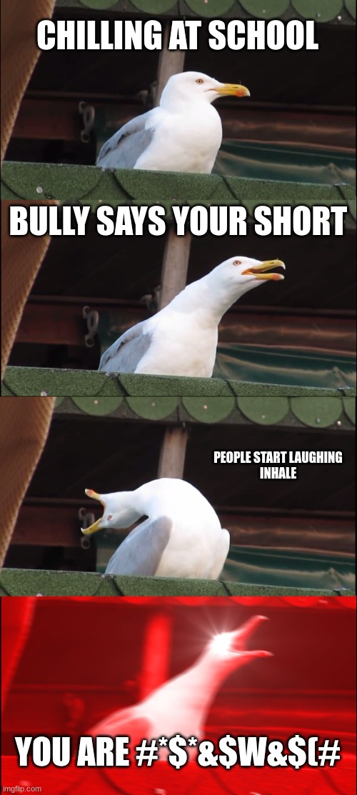 Inhaling Seagull | CHILLING AT SCHOOL; BULLY SAYS YOUR SHORT; PEOPLE START LAUGHING
INHALE; YOU ARE #*$*&$W&$(# | image tagged in memes,inhaling seagull | made w/ Imgflip meme maker