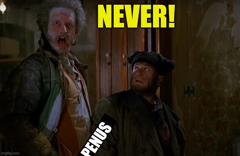 Home Alone 2 Marv Never | NEVER! PENUS | image tagged in home alone 2 marv never | made w/ Imgflip meme maker