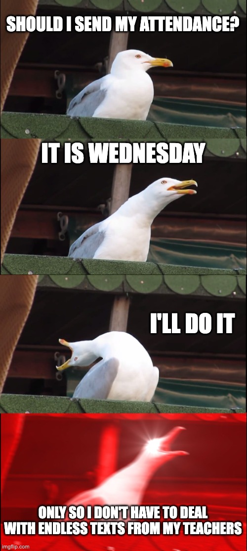 Attendance | SHOULD I SEND MY ATTENDANCE? IT IS WEDNESDAY; I'LL DO IT; ONLY SO I DON'T HAVE TO DEAL WITH ENDLESS TEXTS FROM MY TEACHERS | image tagged in memes,inhaling seagull | made w/ Imgflip meme maker