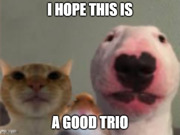 I HOPE THIS IS A GOOD TRIO | made w/ Imgflip meme maker