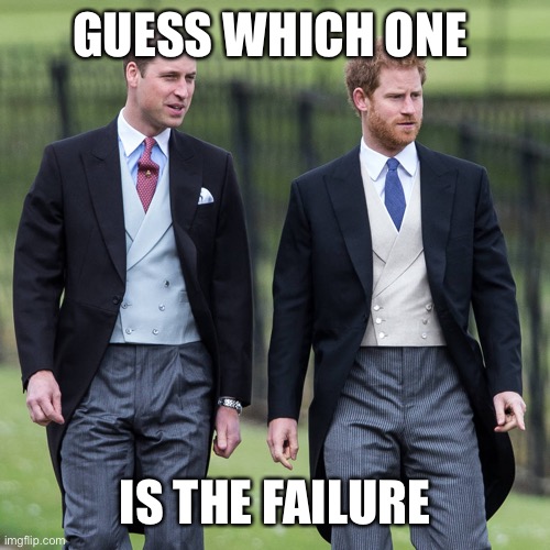 Prince William and Harry | GUESS WHICH ONE IS THE FAILURE | image tagged in prince william and harry | made w/ Imgflip meme maker