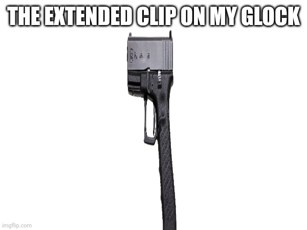 Nice | THE EXTENDED CLIP ON MY GLOCK | image tagged in pie charts | made w/ Imgflip meme maker