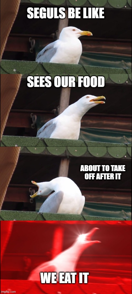 Inhaling Seagull Meme | SEGULS BE LIKE; SEES OUR FOOD; ABOUT TO TAKE OFF AFTER IT; WE EAT IT | image tagged in memes,inhaling seagull | made w/ Imgflip meme maker