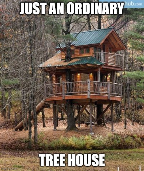 TREE HOUSE CASTLE | JUST AN ORDINARY TREE HOUSE | image tagged in tree house castle | made w/ Imgflip meme maker
