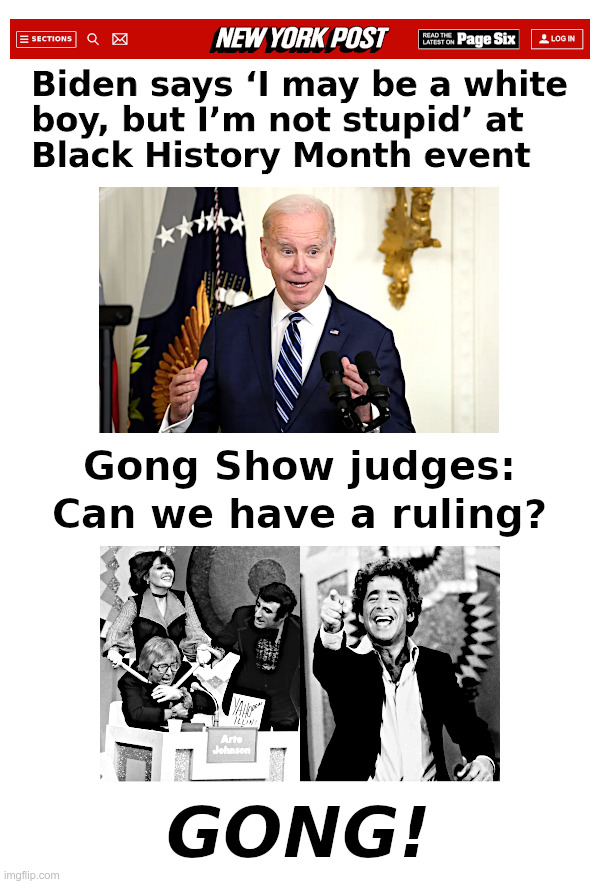 Joe Biden: White? Stupid? Why Not Both? | image tagged in joe biden,white,stupid,why not both,gong show,chuck barris | made w/ Imgflip meme maker