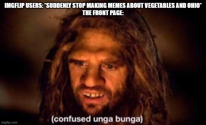 It's true, vegetables and Ohio are the reason Imgflip exists, as far as I've observed. |  IMGFLIP USERS: *SUDDENLY STOP MAKING MEMES ABOUT VEGETABLES AND OHIO*
THE FRONT PAGE: | image tagged in confused unga bunga | made w/ Imgflip meme maker