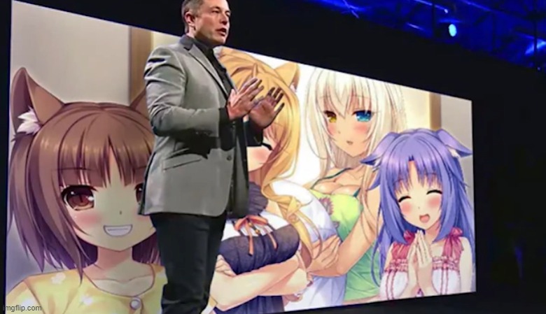 Elon Musk announces that he will make anime girls existent so that doggo can finally get bitches | made w/ Imgflip meme maker
