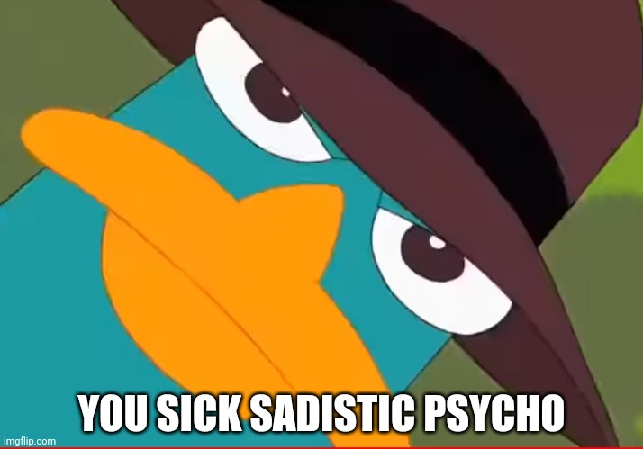 Perry looks at you | YOU SICK SADISTIC PSYCHO | image tagged in perry looks at you | made w/ Imgflip meme maker