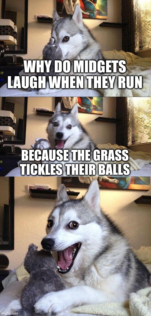 Unknown | WHY DO MIDGETS LAUGH WHEN THEY RUN; BECAUSE THE GRASS TICKLES THEIR BALLS | image tagged in memes,bad pun dog | made w/ Imgflip meme maker