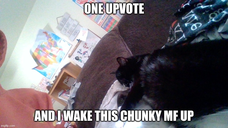 ONE UPVOTE; AND I WAKE THIS CHUNKY MF UP | made w/ Imgflip meme maker