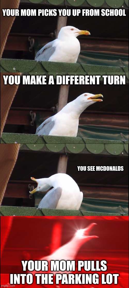 YES | YOUR MOM PICKS YOU UP FROM SCHOOL; YOU MAKE A DIFFERENT TURN; YOU SEE MCDONALDS; YOUR MOM PULLS INTO THE PARKING LOT | image tagged in memes,inhaling seagull | made w/ Imgflip meme maker