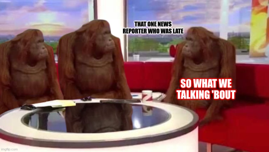 where monkey | THAT ONE NEWS REPORTER WHO WAS LATE; SO WHAT WE TALKING 'BOUT | image tagged in where monkey | made w/ Imgflip meme maker