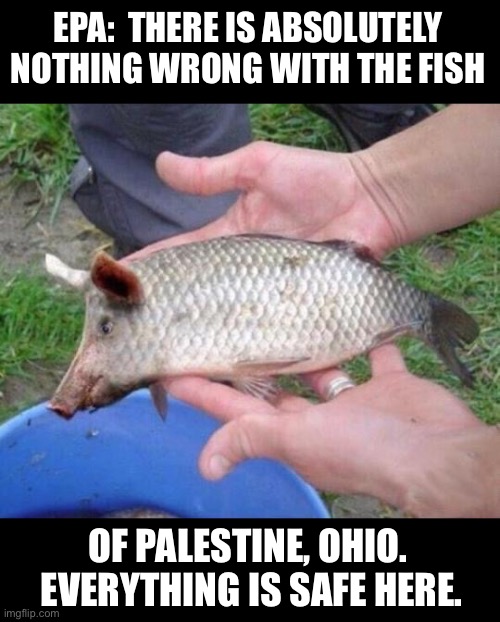 EPA | EPA:  THERE IS ABSOLUTELY NOTHING WRONG WITH THE FISH; OF PALESTINE, OHIO.  EVERYTHING IS SAFE HERE. | image tagged in pollution | made w/ Imgflip meme maker