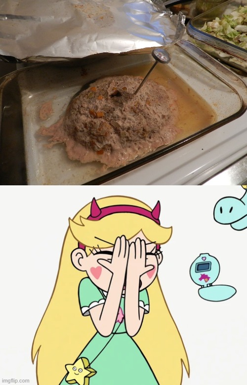 omg the irony | image tagged in star butterfly severe facepalm,star vs the forces of evil,memes,gross,food,wtf | made w/ Imgflip meme maker