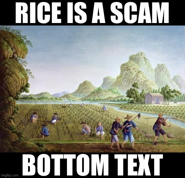 Like, follow & subscribe to learn the dark history of how the grass species Oryza sativa enslaved the humans of East Asia | RICE IS A SCAM; BOTTOM TEXT | image tagged in rice farmers in china,rice,is,a,scam,bottom text | made w/ Imgflip meme maker
