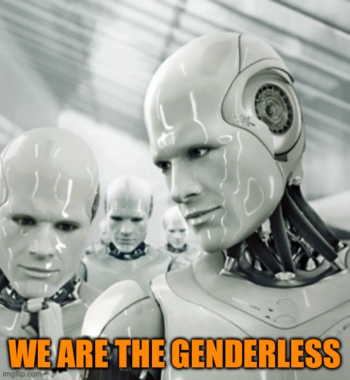 Robots Meme | WE ARE THE GENDERLESS | image tagged in memes,robots | made w/ Imgflip meme maker