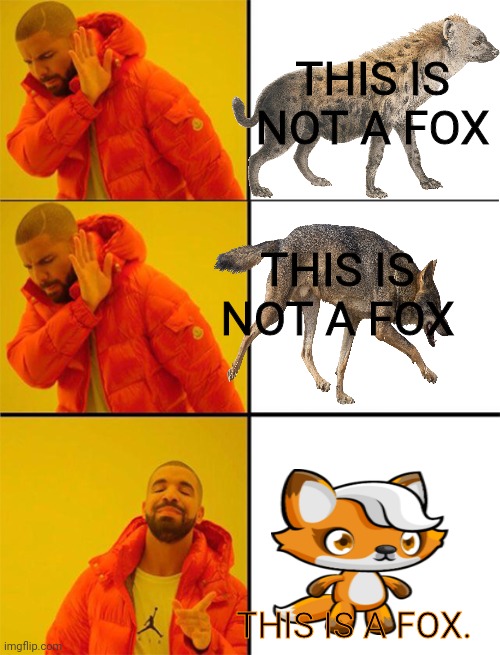 Important fox facts | THIS IS NOT A FOX; THIS IS NOT A FOX; THIS IS A FOX. | image tagged in drake meme 3 panels,important,fox,facts | made w/ Imgflip meme maker