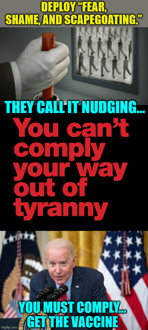 Never forget their coercion... No Covid amnesty | DEPLOY “FEAR, SHAME, AND SCAPEGOATING.”; THEY CALL IT NUDGING... YOU MUST COMPLY... GET THE VACCINE | image tagged in regime,biden whisper,corrupt,biden,dictator | made w/ Imgflip meme maker
