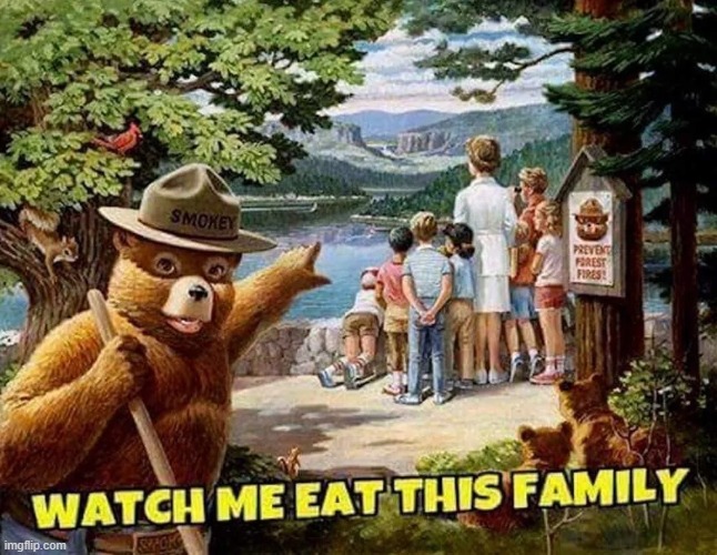 Dew it bear | image tagged in bear,family,dark humor,cursed,memes,eat | made w/ Imgflip meme maker