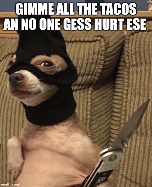 GIMME ALL THE TACOS AN NO ONE GESS HURT ESE | made w/ Imgflip meme maker