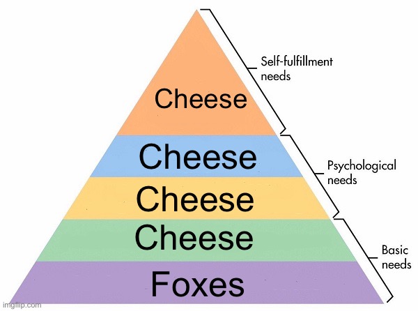 Maslow's Hierarchy of Needs | Cheese; Cheese; Cheese; Cheese; Foxes | image tagged in maslow's hierarchy of needs | made w/ Imgflip meme maker