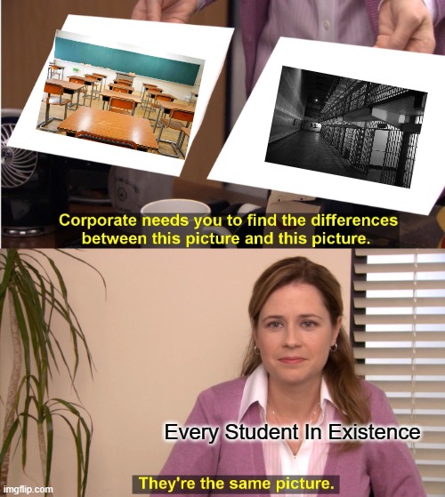 They're The Same Picture | Every Student In Existence | image tagged in memes,they're the same picture | made w/ Imgflip meme maker