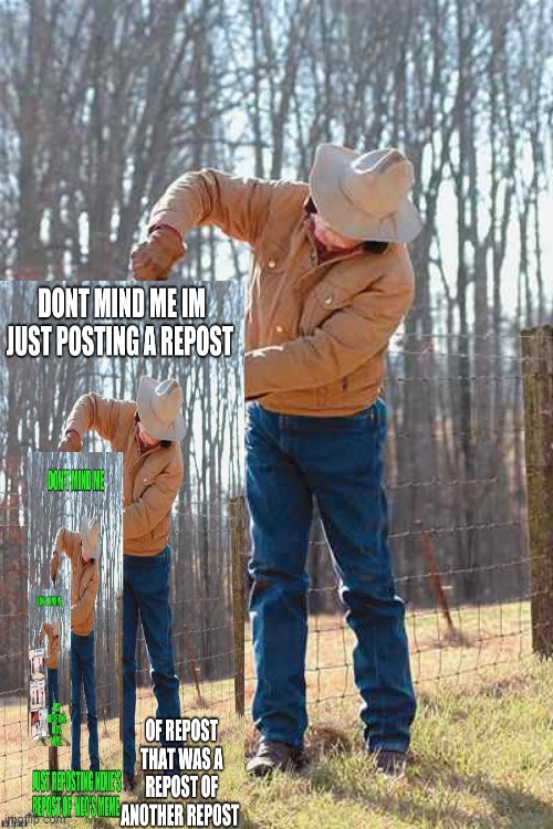 too many reposts | image tagged in repost | made w/ Imgflip meme maker