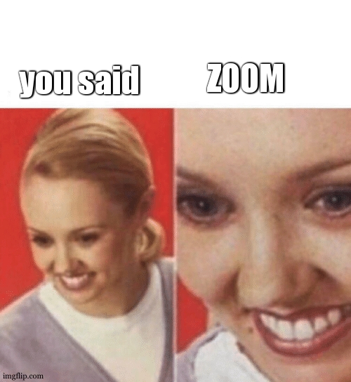 Face Zoom In | you said ZOOM | image tagged in face zoom in | made w/ Imgflip meme maker