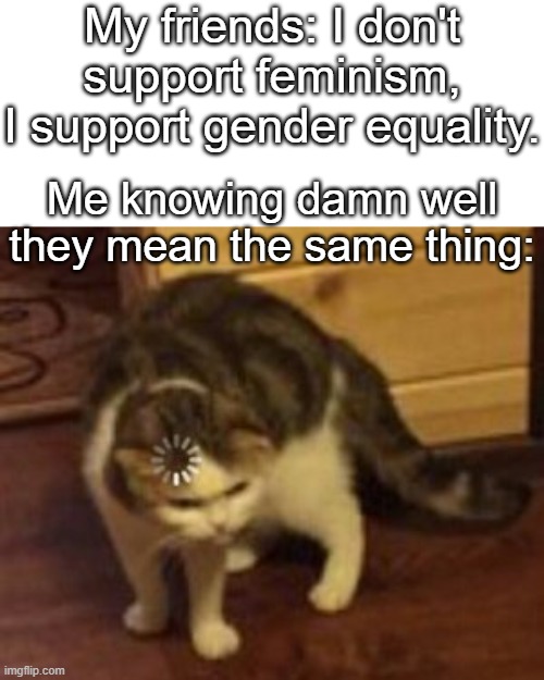 Loading cat | My friends: I don't support feminism, I support gender equality. Me knowing damn well they mean the same thing: | image tagged in loading cat | made w/ Imgflip meme maker