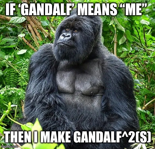 Me ape | IF ‘GANDALF’ MEANS “ME”; THEN I MAKE GANDALF^2(S) | image tagged in dumb meme | made w/ Imgflip meme maker