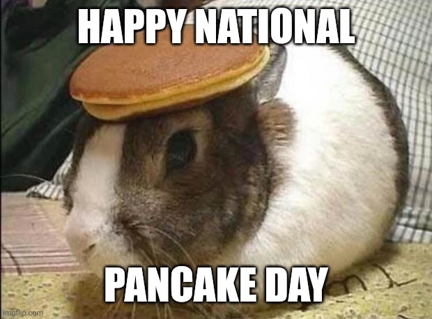 bunny pancake | HAPPY NATIONAL; PANCAKE DAY | image tagged in bunny pancake | made w/ Imgflip meme maker