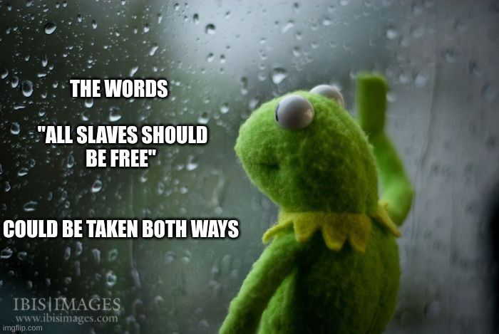 shower thoughts | THE WORDS 
            
 "ALL SLAVES SHOULD BE FREE"
                                    COULD BE TAKEN BOTH WAYS | image tagged in kermit window | made w/ Imgflip meme maker