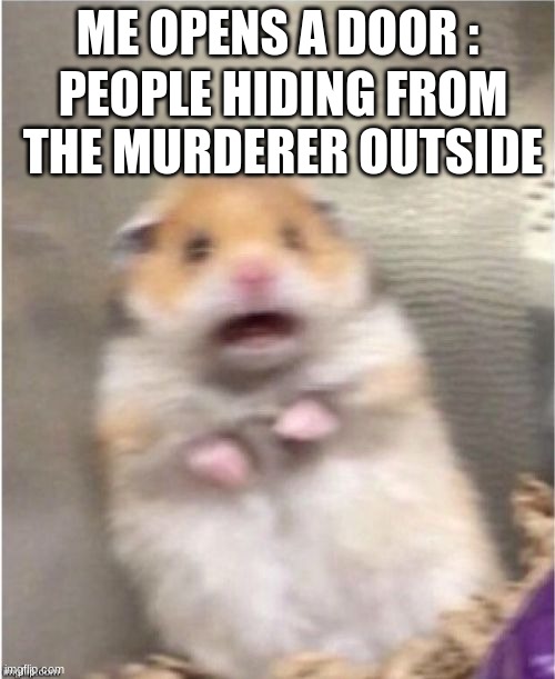 Scared Hamster | ME OPENS A DOOR :; PEOPLE HIDING FROM THE MURDERER OUTSIDE | image tagged in scared hamster | made w/ Imgflip meme maker