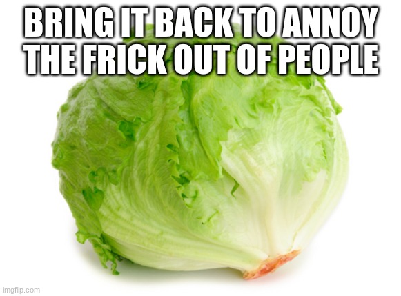 BRINg BACK THE LETTUCE!!!!!!!! | BRING IT BACK TO ANNOY THE FRICK OUT OF PEOPLE | image tagged in lettuce | made w/ Imgflip meme maker