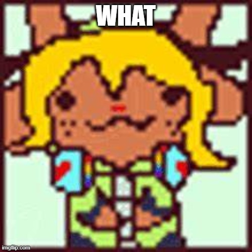 Nolle Holday | WHAT | image tagged in nolle holday | made w/ Imgflip meme maker