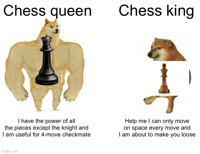 Chess Meme | Chess queen; Chess king; I have the power of all the pieces except the knight and I am useful for 4-move checkmate; Help me I can only move on space every move and I am about to make you loose | image tagged in memes,buff doge vs cheems | made w/ Imgflip meme maker