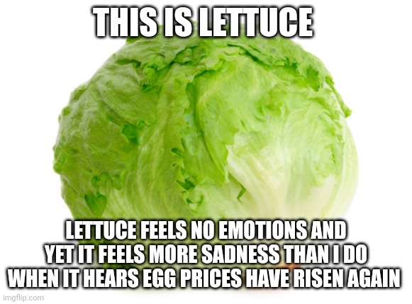 I've been desensitized to the rising egg prices | THIS IS LETTUCE; LETTUCE FEELS NO EMOTIONS AND YET IT FEELS MORE SADNESS THAN I DO WHEN IT HEARS EGG PRICES HAVE RISEN AGAIN | image tagged in lettuce | made w/ Imgflip meme maker