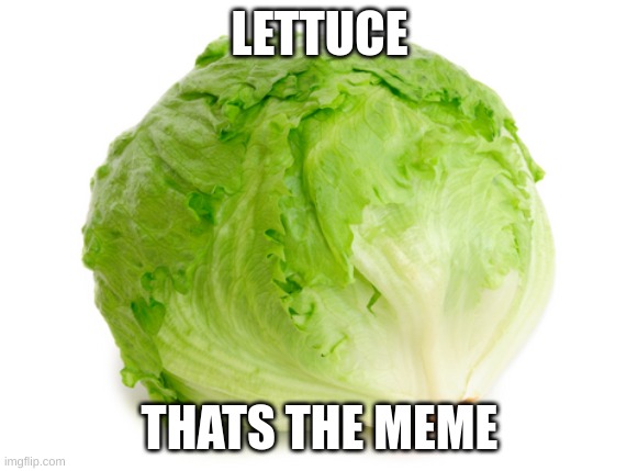 Lettuce  | LETTUCE; THATS THE MEME | image tagged in lettuce | made w/ Imgflip meme maker