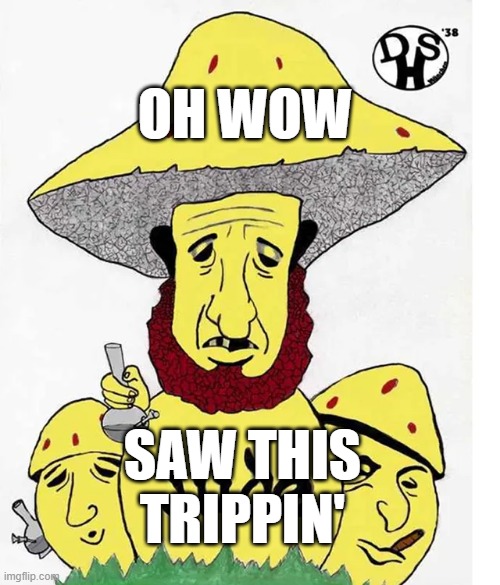 OH WOW; SAW THIS TRIPPIN' | image tagged in memes | made w/ Imgflip meme maker