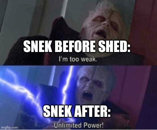 Snek has unlimited power after shedding | SNEK BEFORE SHED:; SNEK AFTER: | image tagged in too weak unlimited power | made w/ Imgflip meme maker