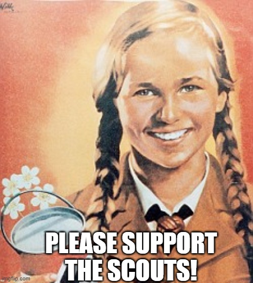 PLEASE SUPPORT THE SCOUTS! | image tagged in memes | made w/ Imgflip meme maker