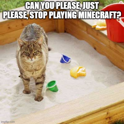 I will let you have the cat and the sandbox if you do | CAN YOU PLEASE, JUST PLEASE, STOP PLAYING MINECRAFT? | image tagged in cat sandbox,memes,president_joe_biden | made w/ Imgflip meme maker