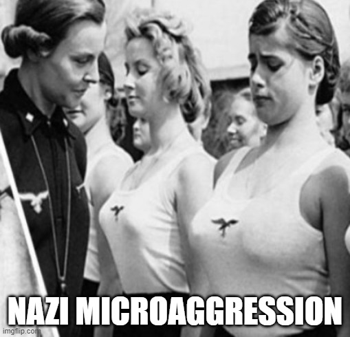 NAZI MICROAGGRESSION | image tagged in memes | made w/ Imgflip meme maker