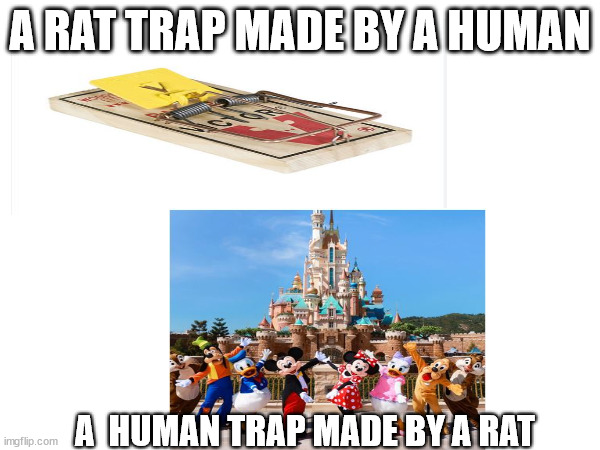 the best meme #1 | A RAT TRAP MADE BY A HUMAN; A  HUMAN TRAP MADE BY A RAT | image tagged in memes | made w/ Imgflip meme maker