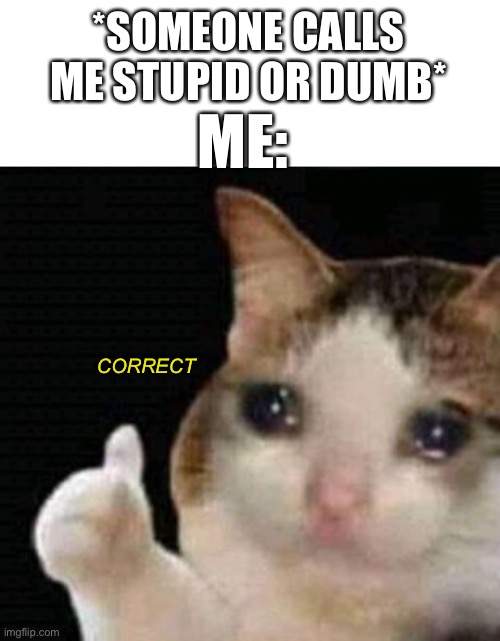 sad thumbs up cat | *SOMEONE CALLS ME STUPID OR DUMB*; ME:; CORRECT | image tagged in sad thumbs up cat | made w/ Imgflip meme maker