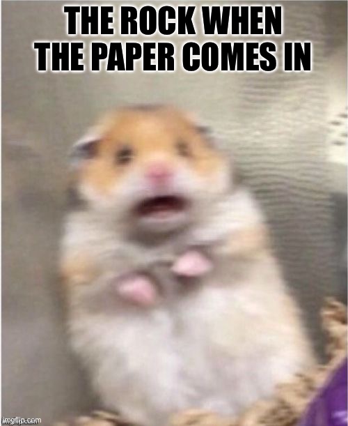 Lol, im so sure no one cares about this | THE ROCK WHEN THE PAPER COMES IN | image tagged in scared hamster | made w/ Imgflip meme maker