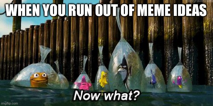 Run Out Of Meme Ideas | WHEN YOU RUN OUT OF MEME IDEAS | image tagged in now what,nemo,run out of meme ideas,finding nemo seagulls,meme ideas | made w/ Imgflip meme maker