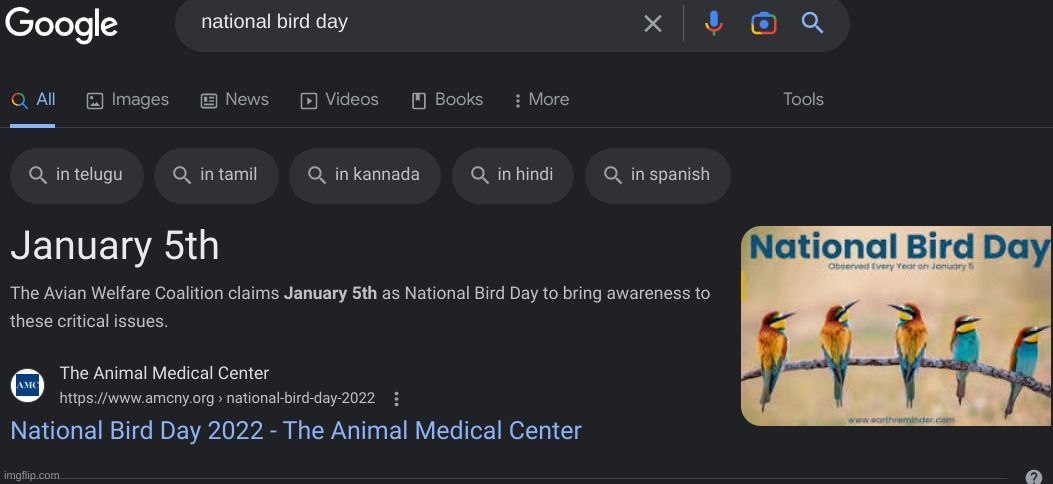 National bird day is January 5th! everybody remember that | made w/ Imgflip meme maker