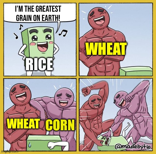 Guy getting beat up | I’M THE GREATEST GRAIN ON EARTH! RICE WHEAT WHEAT CORN | image tagged in guy getting beat up | made w/ Imgflip meme maker
